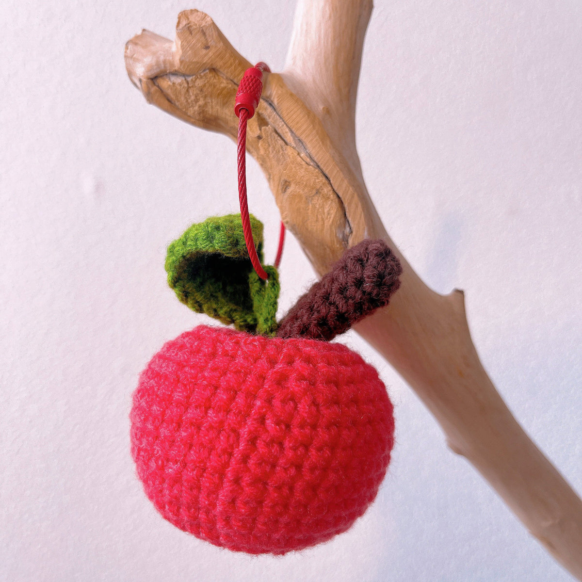 A shiny red apple for the teacher
