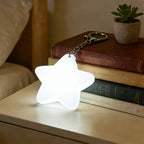 Paw or Star Purse Light Keyring, Touch Sensor, Rechargeable