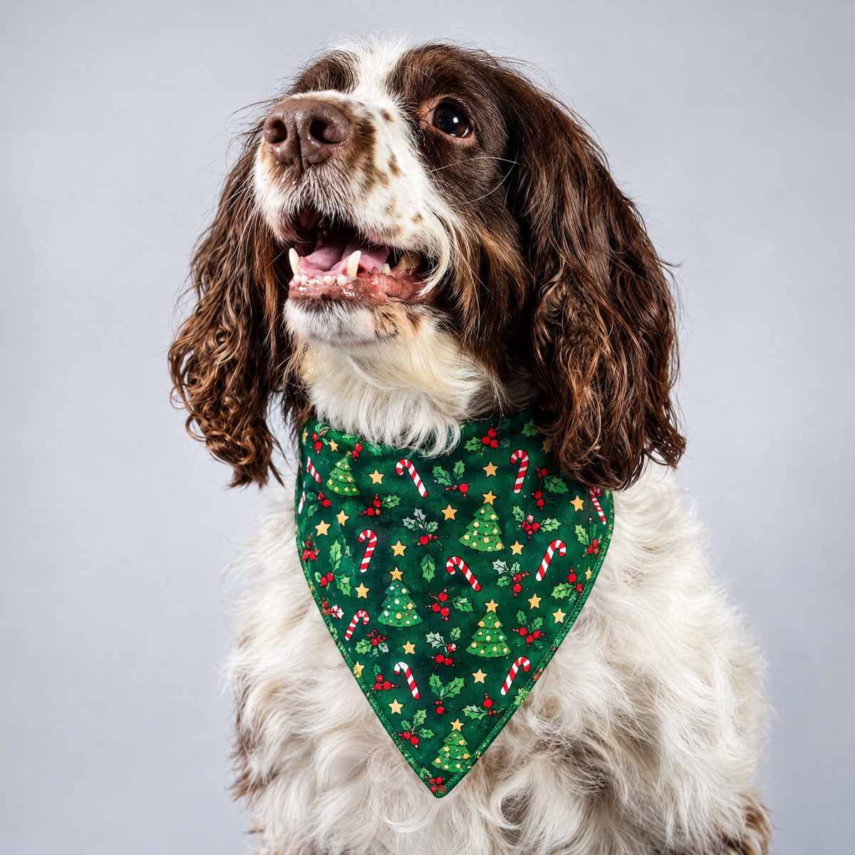 Christmas walks in style