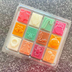 Christmas Wax Melts Gift Set – 12 Festive Scents in One Clamshell