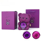 Teddy Bear Preserved Rose Jewellery Box with Gift Bag